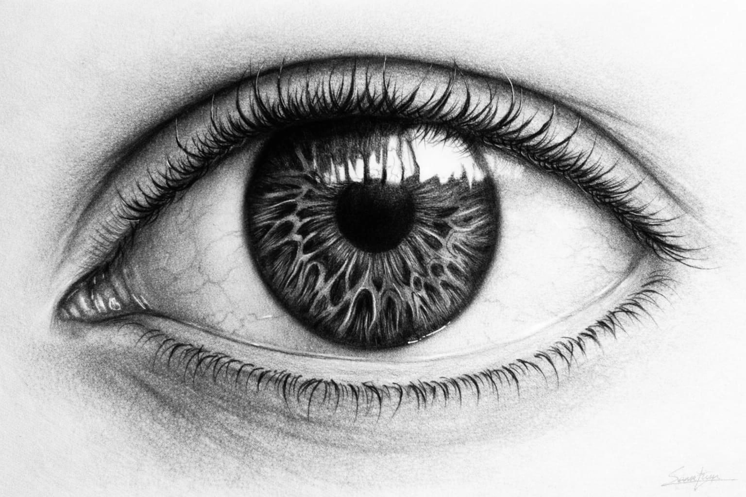 Charcoal drawing by SP Designs Trivandrum